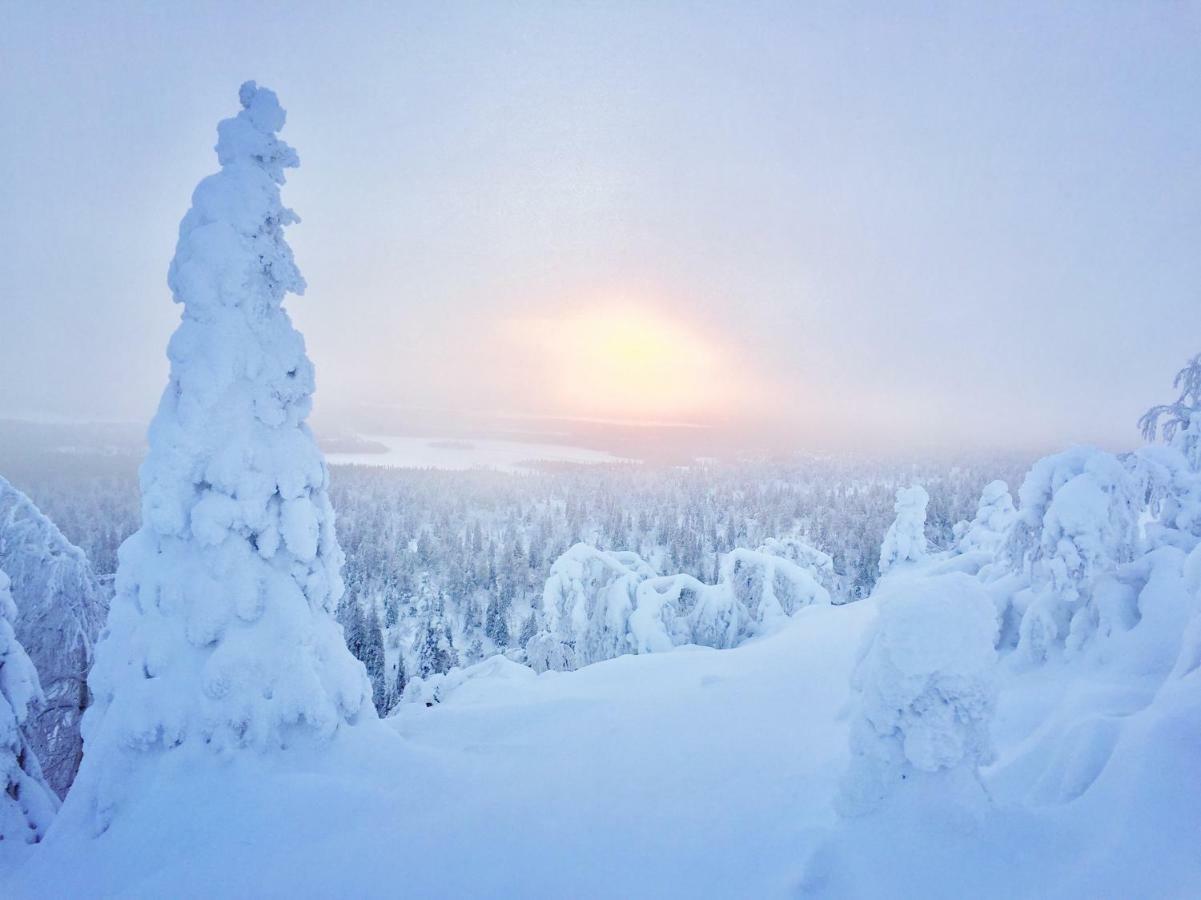 Villa Saarua By The Slopes Ski In, Family & Bike Park, Hike Trails, National Park, Wifi - Lapland Villas Ruka Exterior photo
