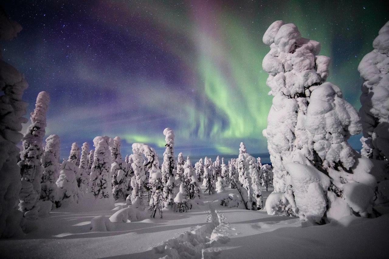 Villa Saarua By The Slopes Ski In, Family & Bike Park, Hike Trails, National Park, Wifi - Lapland Villas Ruka Exterior photo